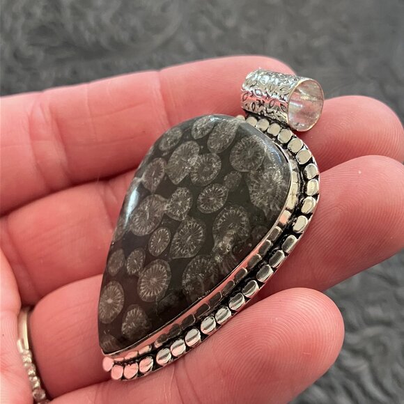 Agatized Coral Fossil Gemstone Stone Jewelry Crystal Pendant - Picture 4 of 6